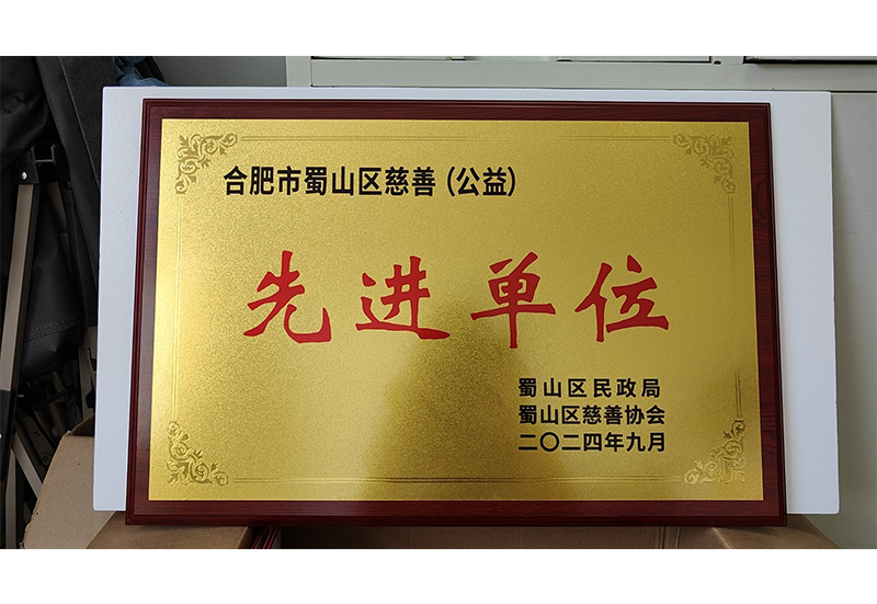 合肥市蜀山區慈善先進單位